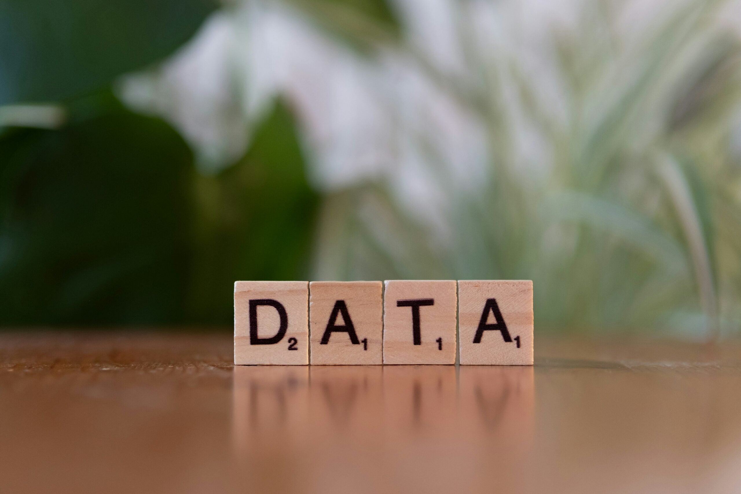 Datenraum Anbieter